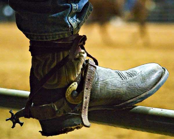 Tejas Rodeo Co